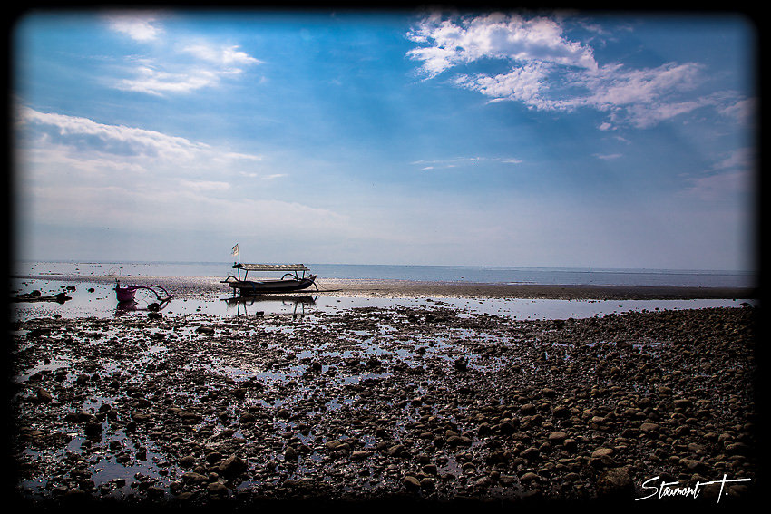 Coquillages et Crustacés?